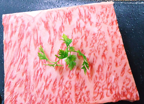 Japanese Restaurant Tenaga Ashinaga